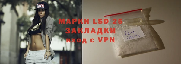 PSILOCYBIN Аркадак