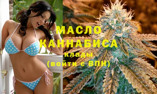 гидра Армянск