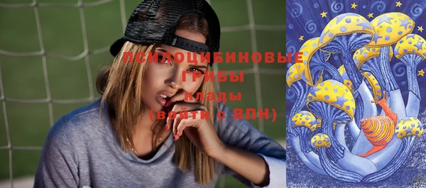 PSILOCYBIN Аркадак