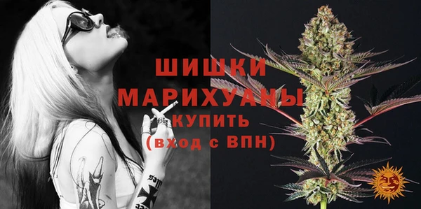 PSILOCYBIN Аркадак